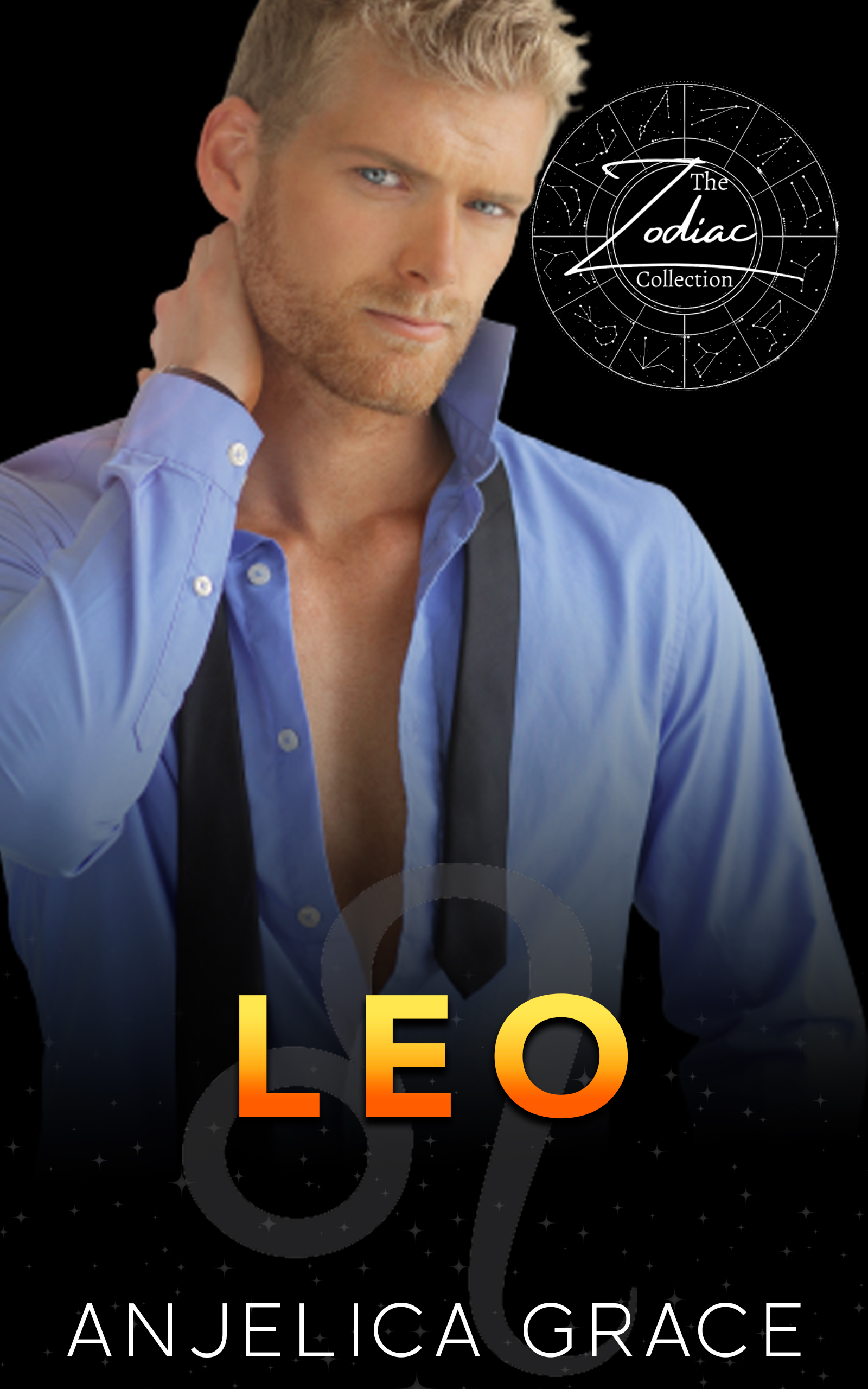 Leo book cover