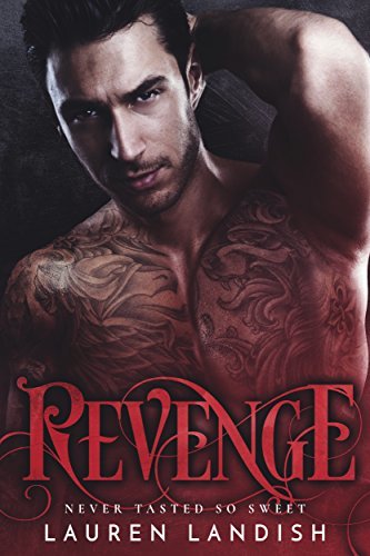 Secrets & Lies book cover 1