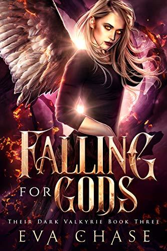 Their Dark Valkyrie book cover 3