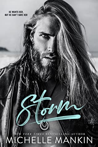 Storm book cover