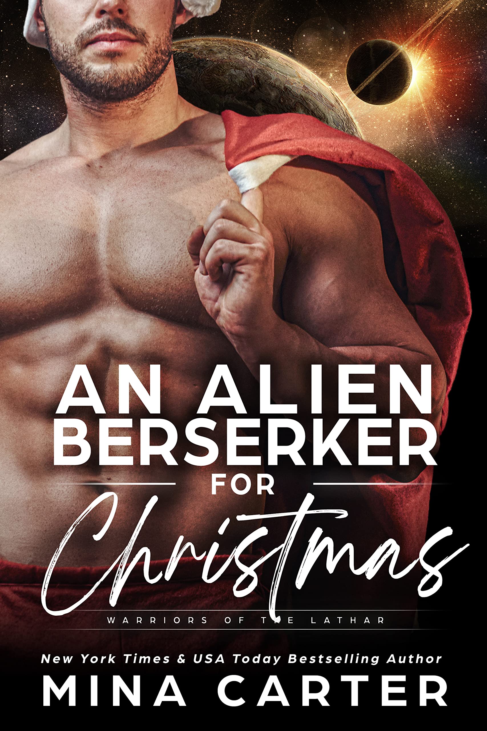 An Alien Berserker for Christmas book cover