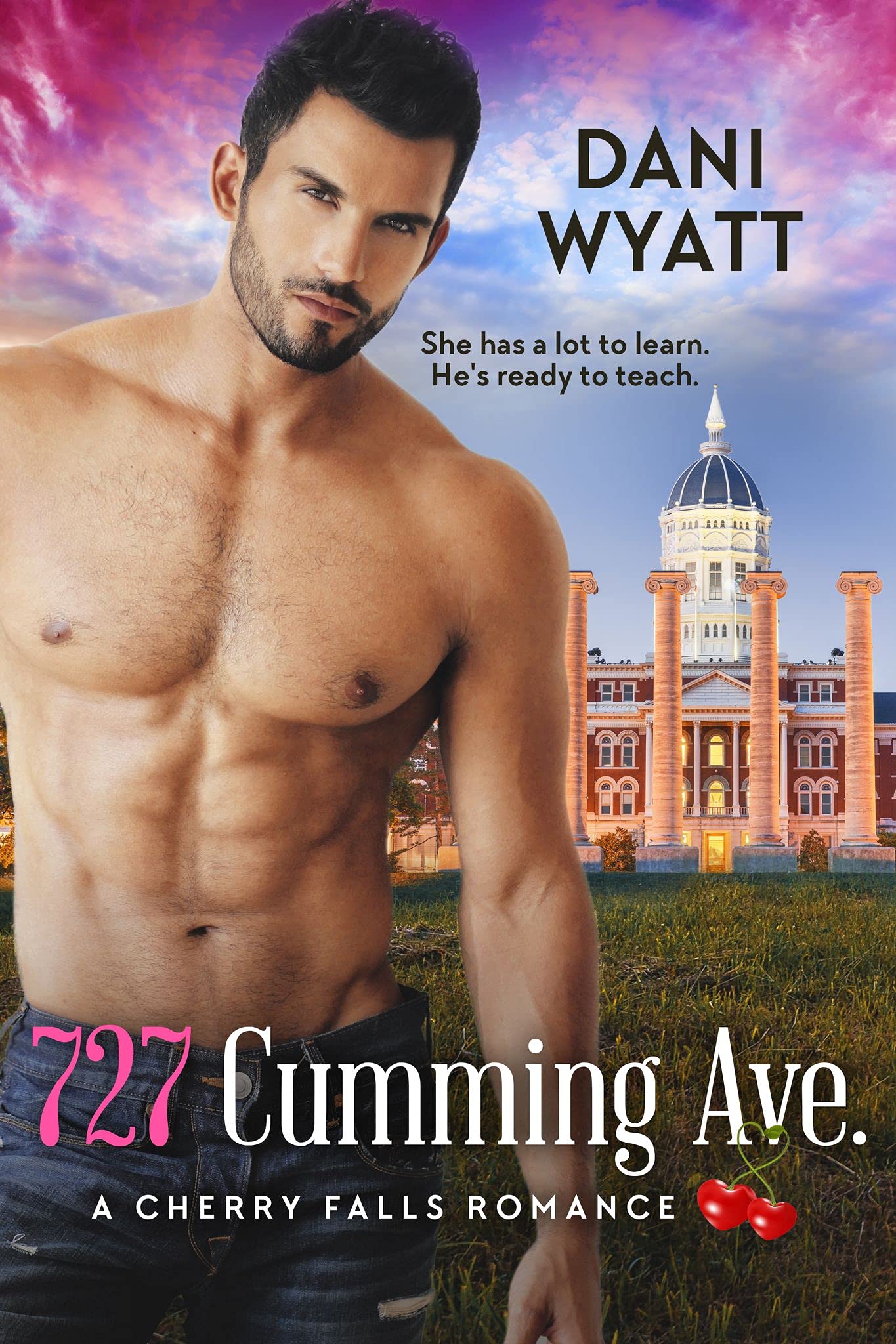 727 Cumming Ave. book cover