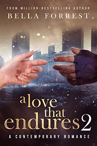 A Love that Endures 2 book cover