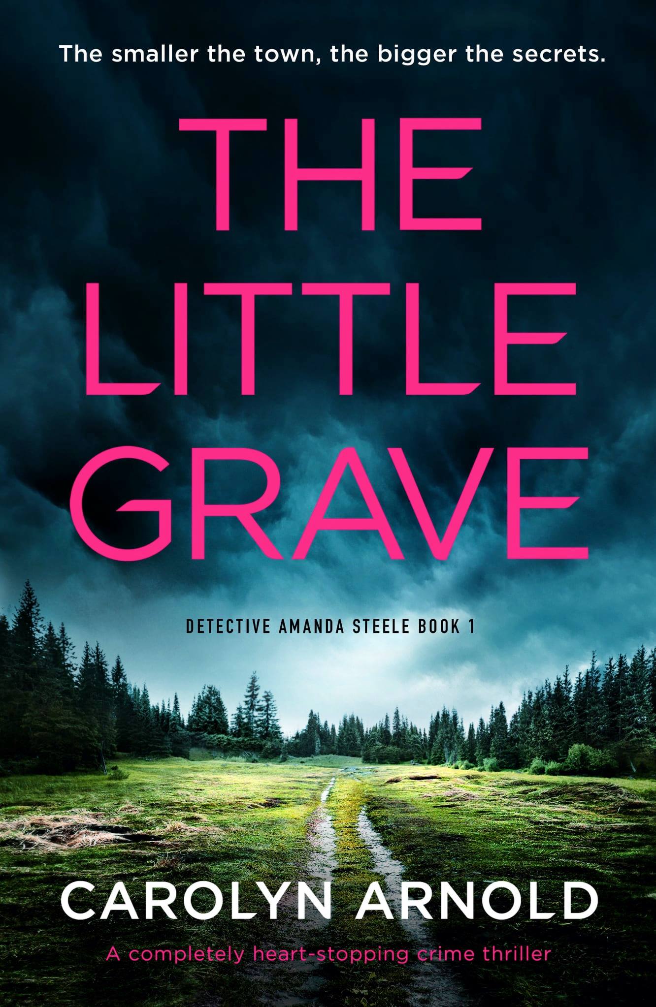 Detective Amanda Steele book cover 1