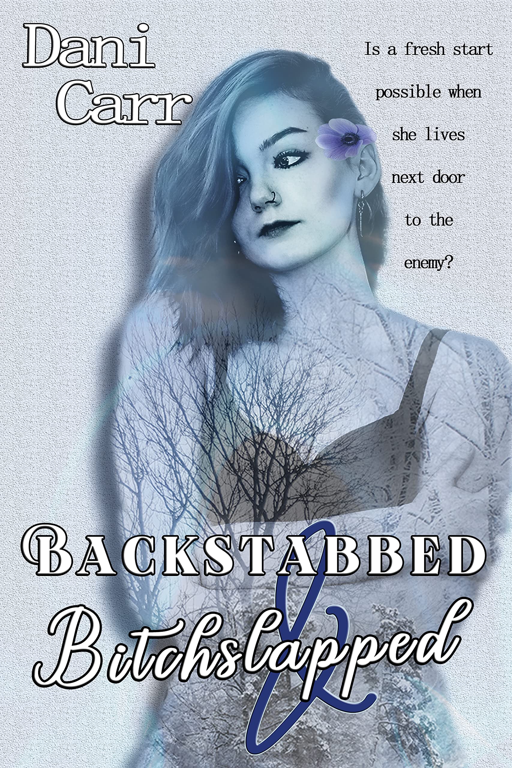 Backstabbed and Bitchslapped book cover