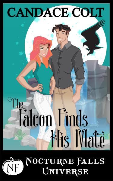 Nocturne Falls Falcon book cover 1
