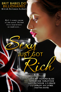 Sexy Just Got Rich book cover