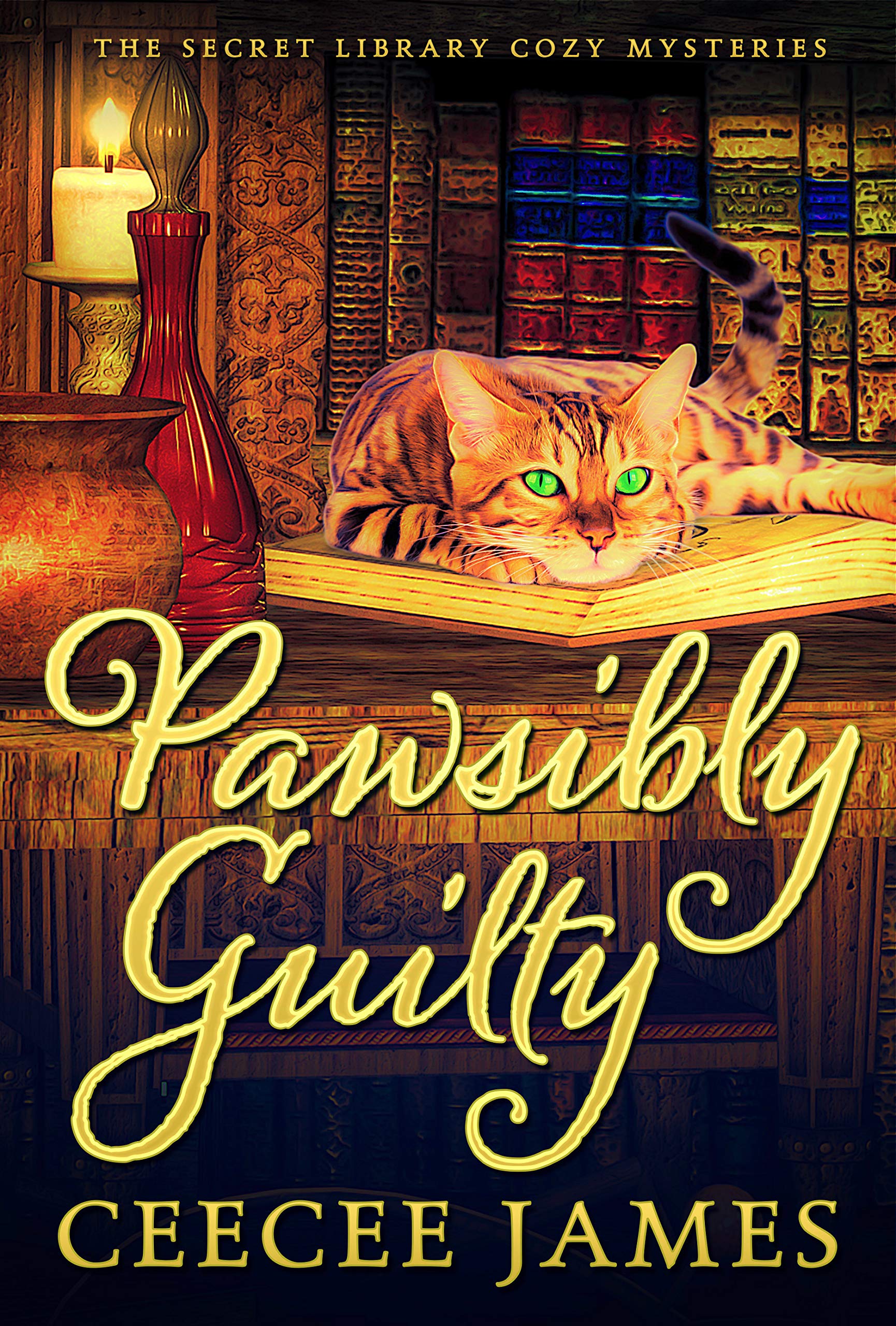 Secret Library book cover 2
