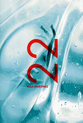 22 book cover