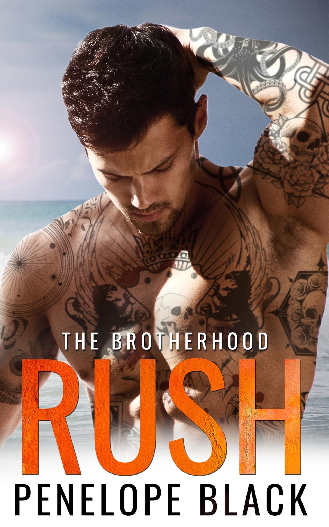 The Brotherhood book cover 2