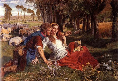 The Nymph's Reply to the Shepherd book cover