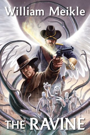 The Ravine book cover