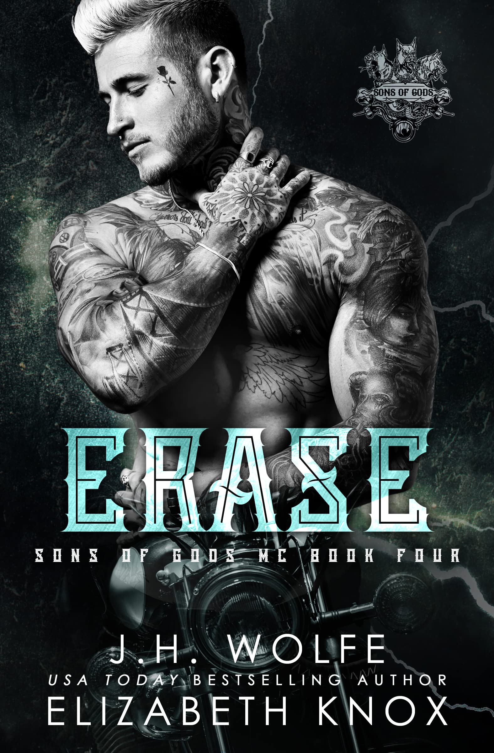 Erase book cover