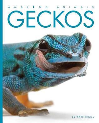 Geckos book cover