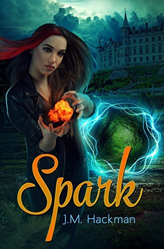 The Firebrand Chronicles book cover 1