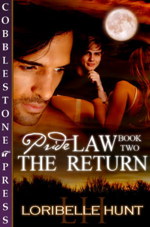 Pride Law book cover 2