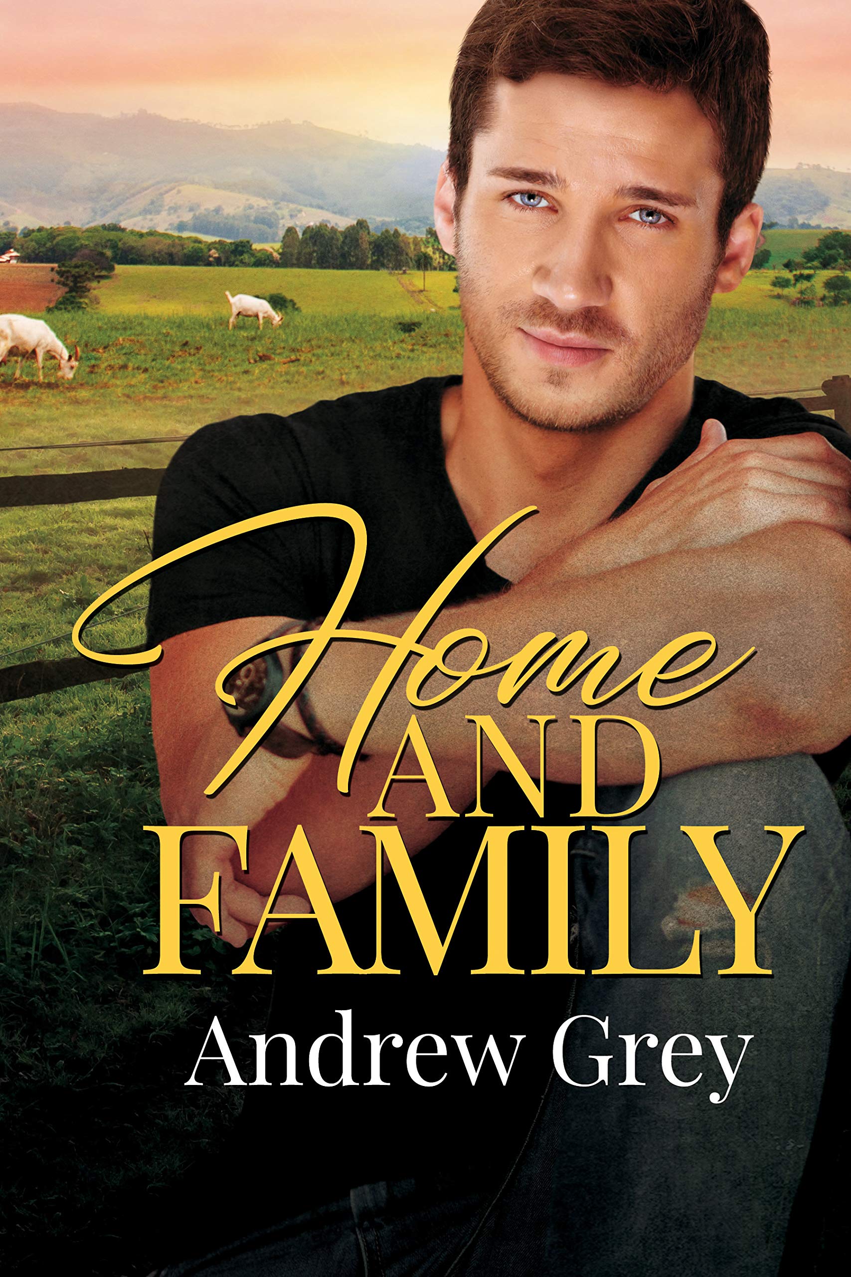 Heart Home Family book cover 3