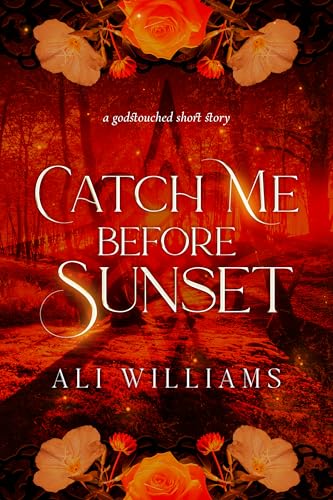 Catch Me Before Sunset book cover