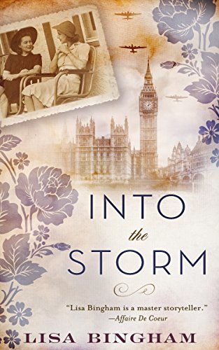 Into the Storm book cover