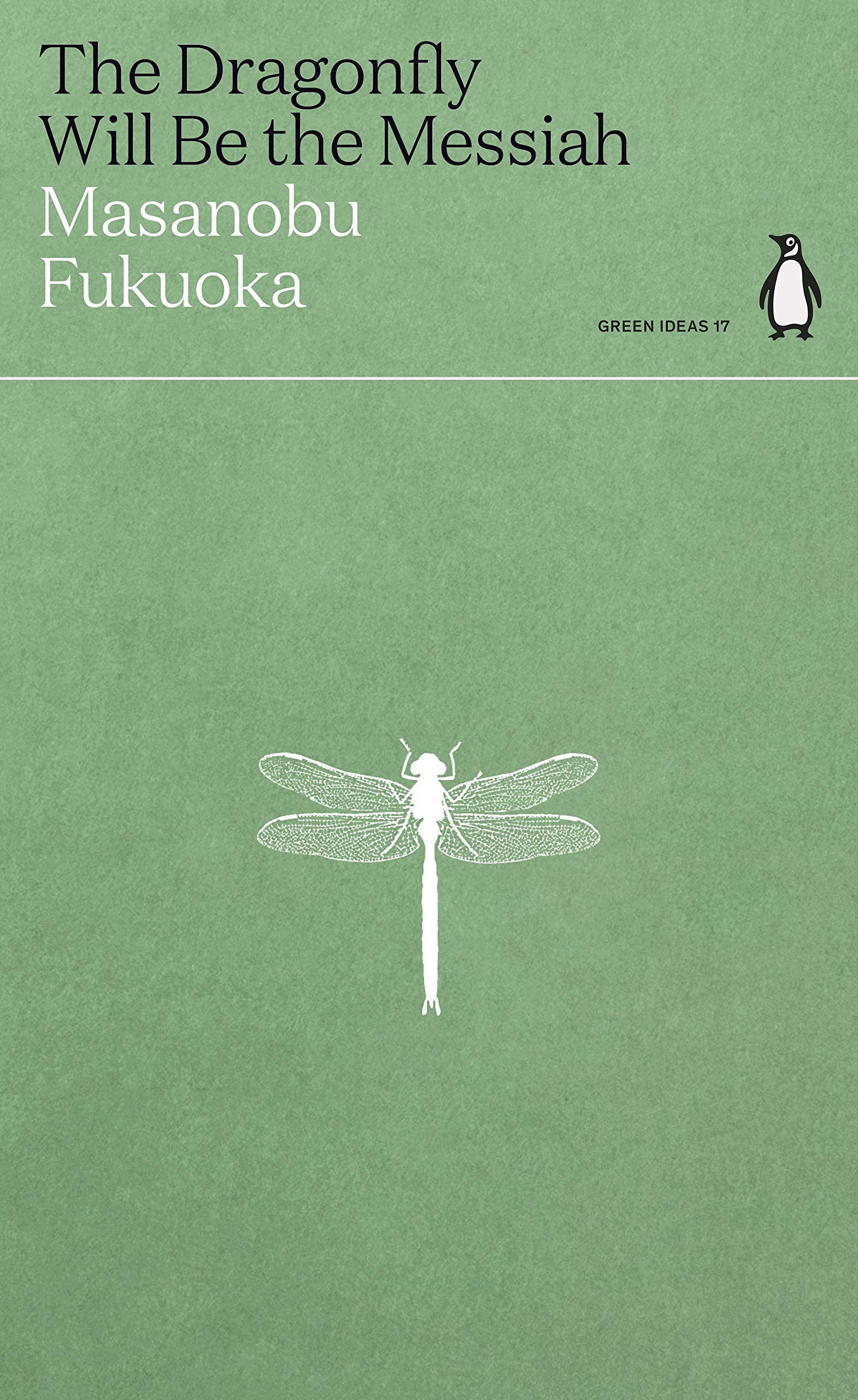 The Dragonfly Will Be the Messiah book cover