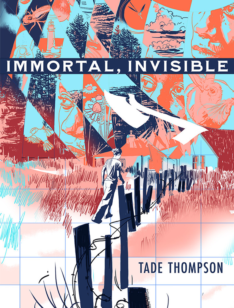 Immortal, Invisible book cover