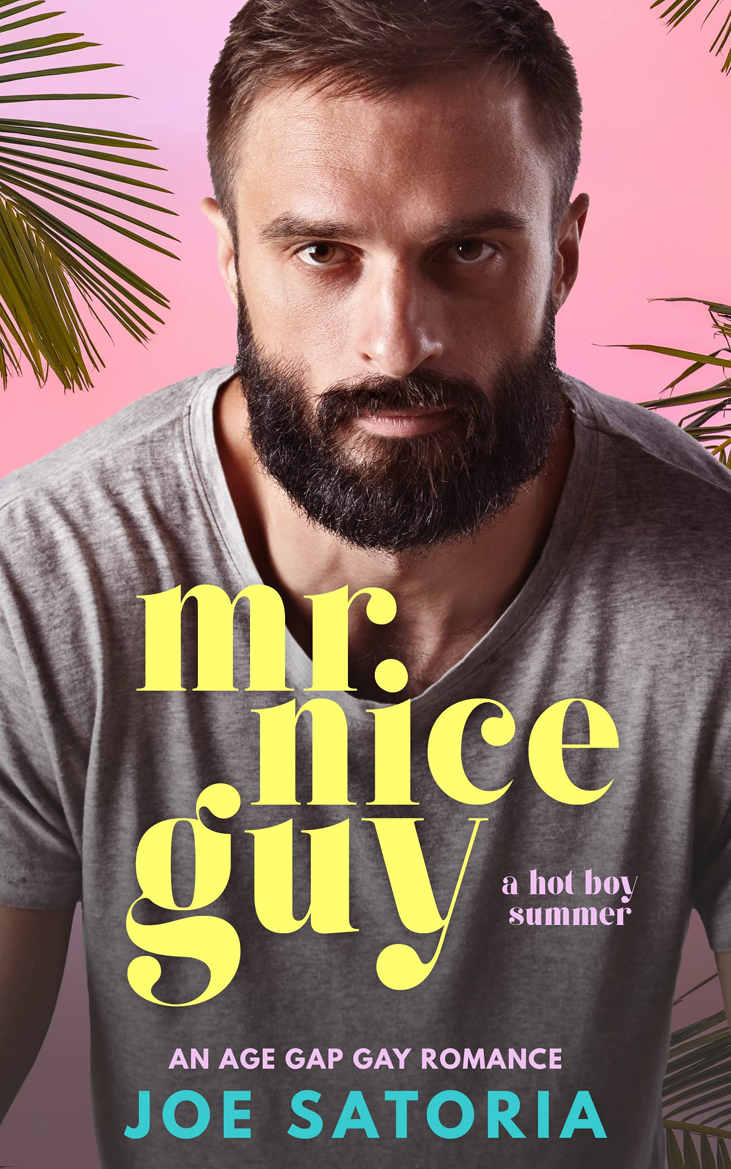 Mr Nice Guy book cover