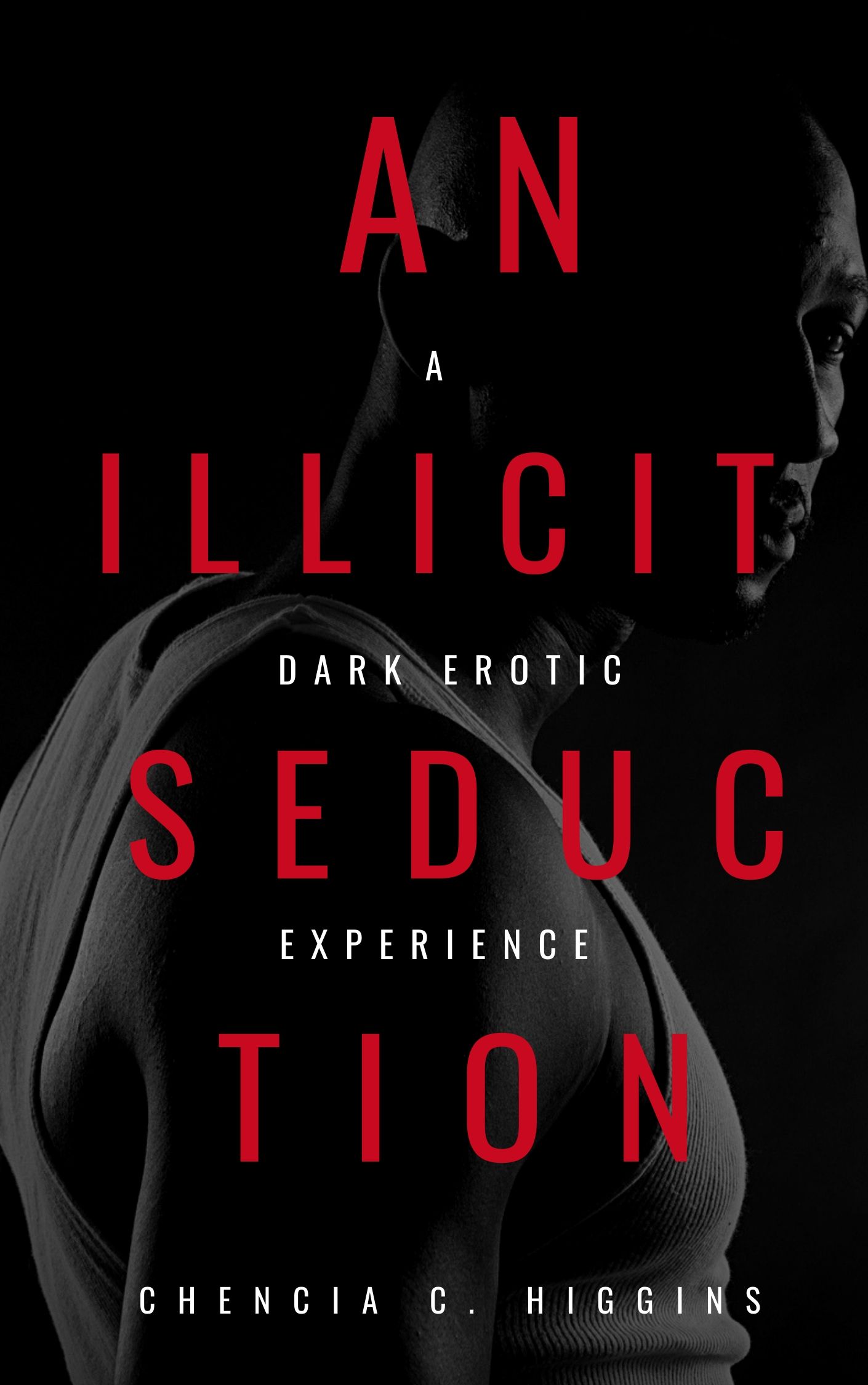 An Illicit Seduction book cover