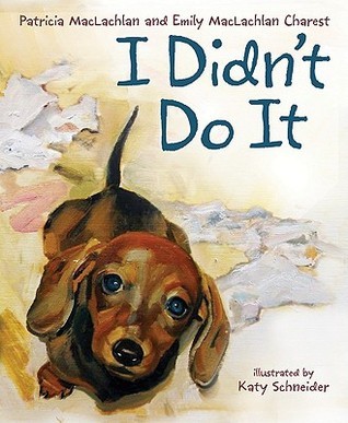 I Didn't Do It book cover