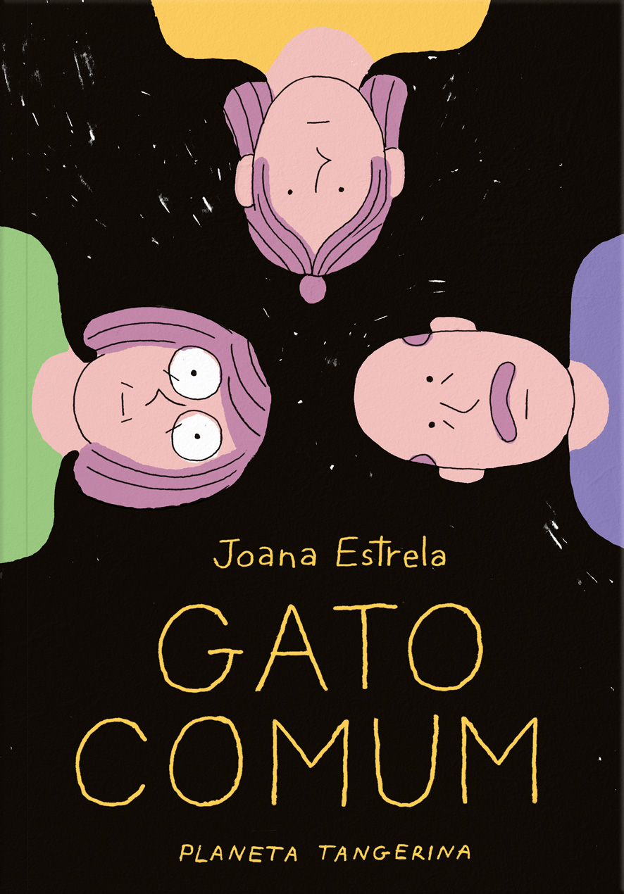 Gato comum book cover