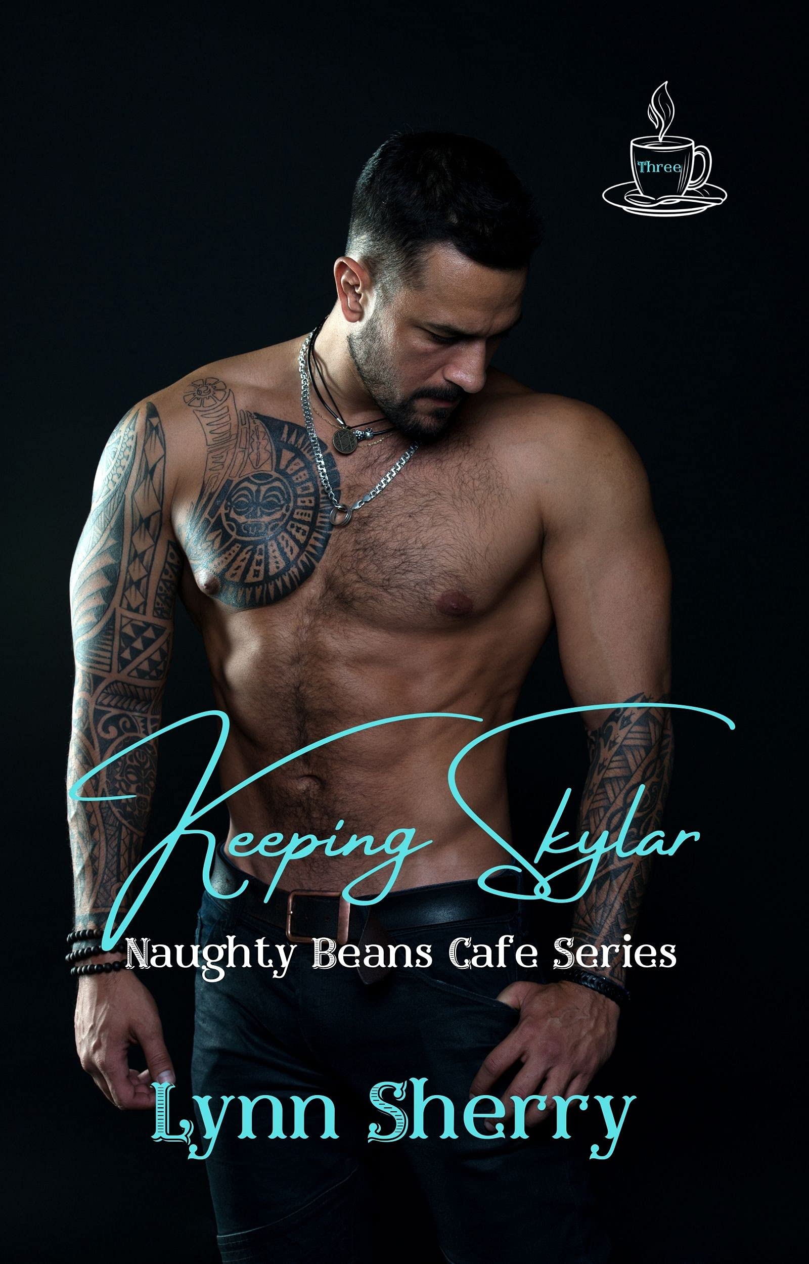 Keeping Skylar book cover
