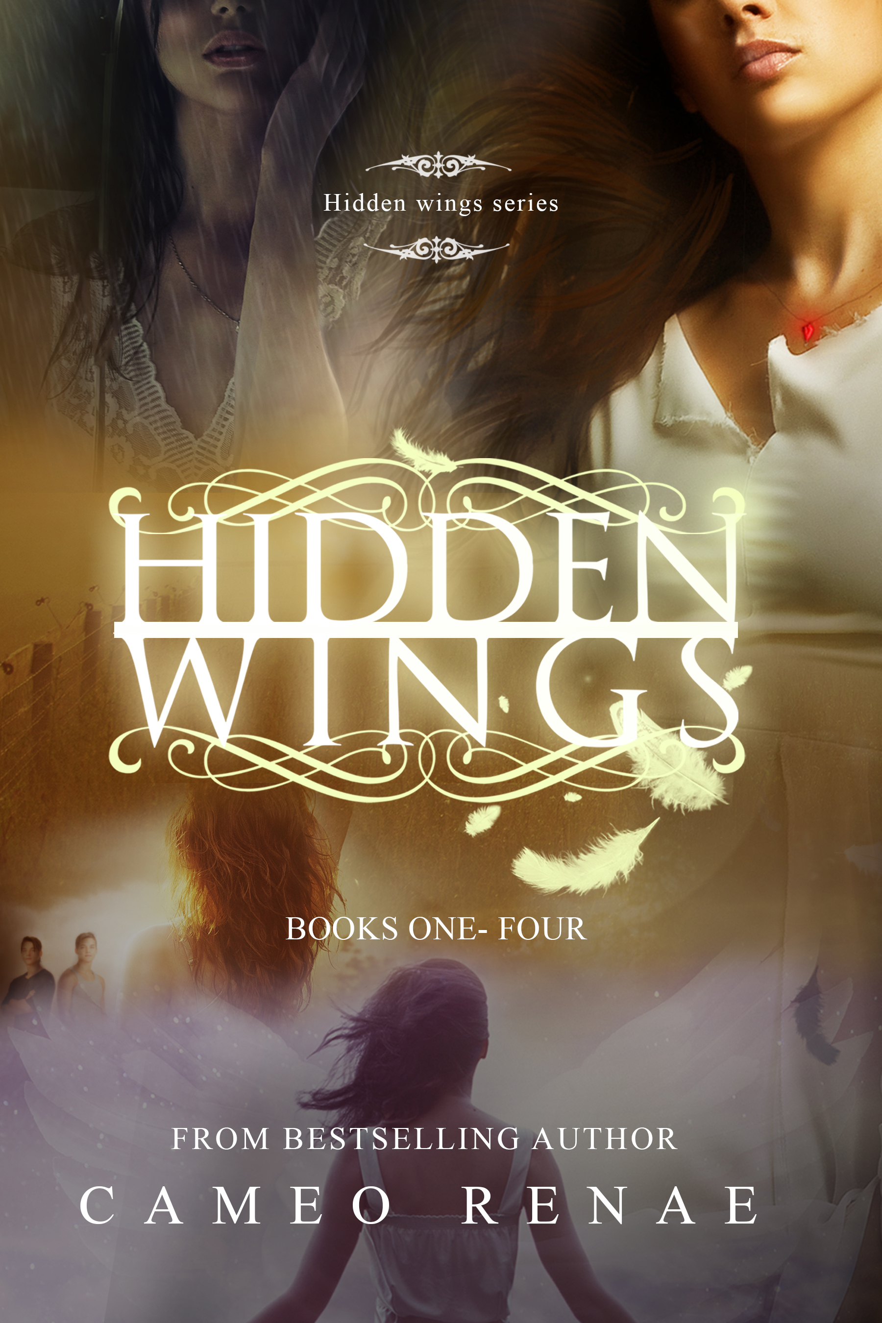 Hidden Wings Box Set book cover
