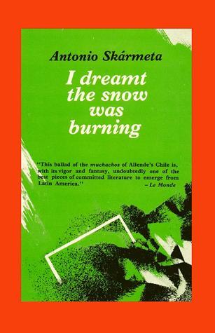 I Dreamt the Snow was Burning book cover
