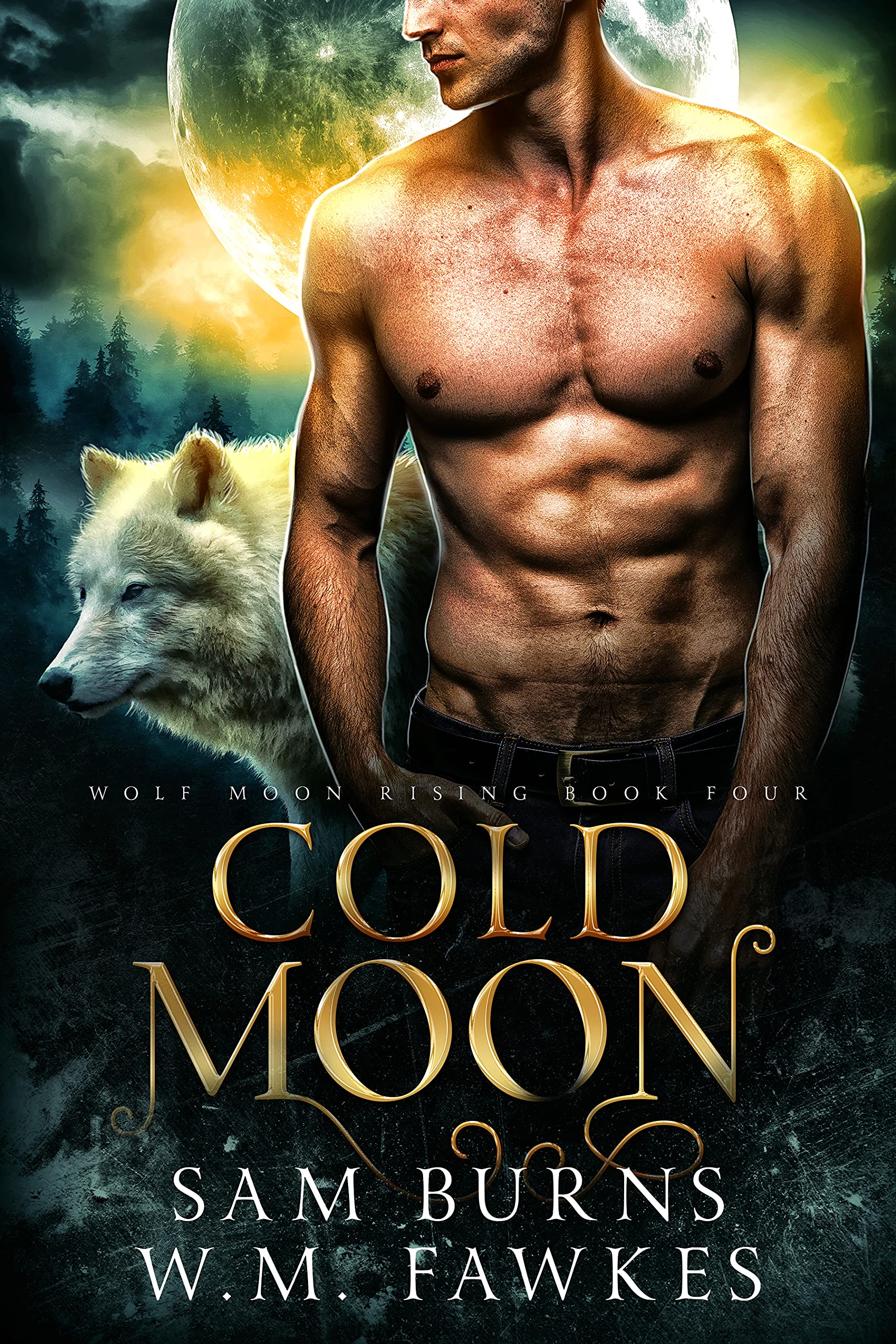 Cold Moon book cover