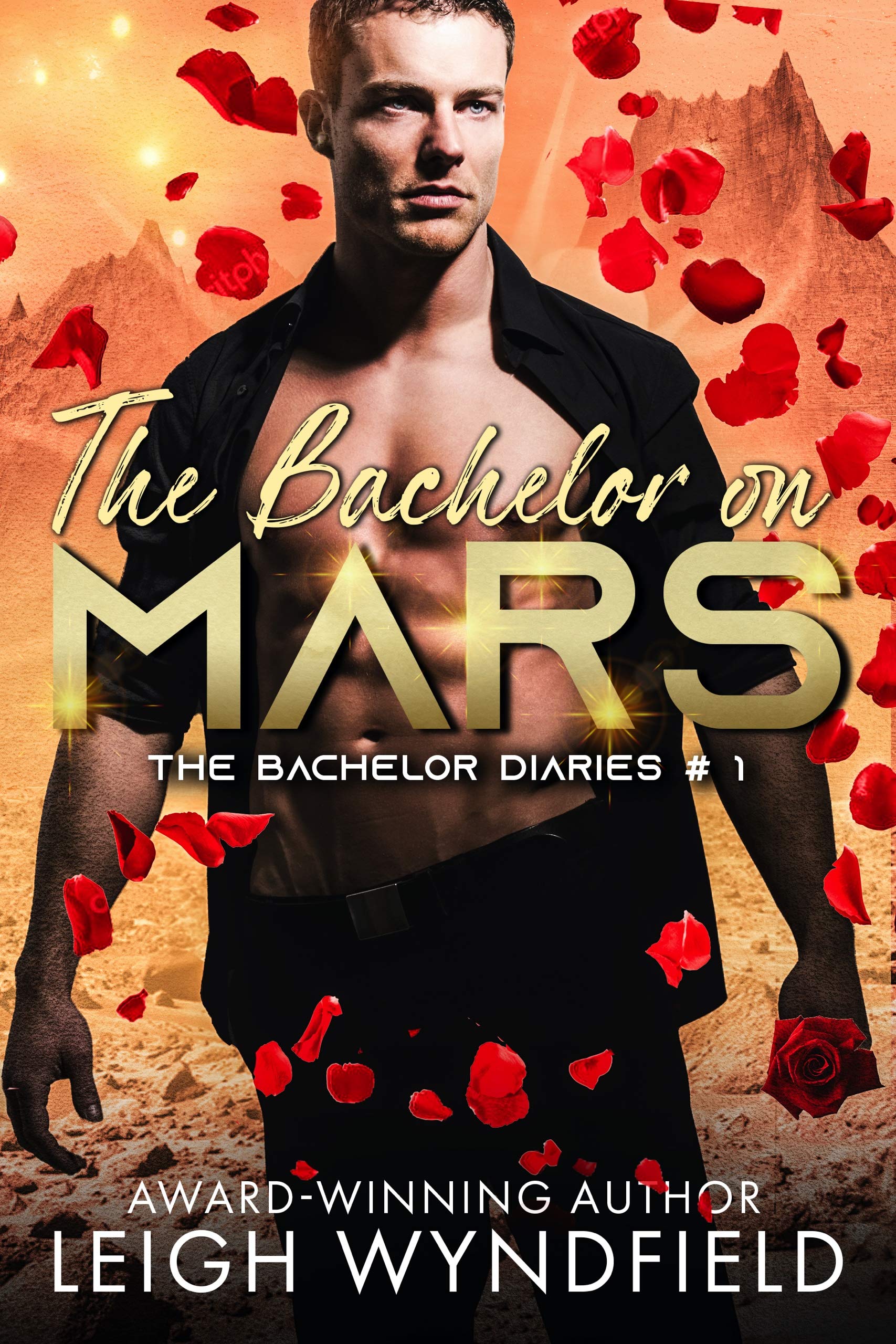 The Bachelor Diaries book cover 1