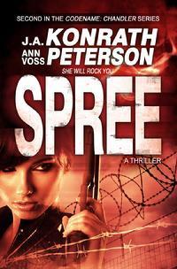 Codename: Chandler book cover 2
