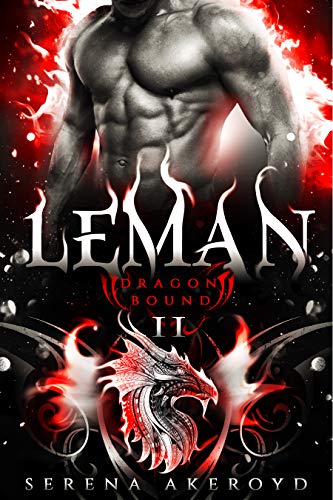 Dragon Bound book cover 2