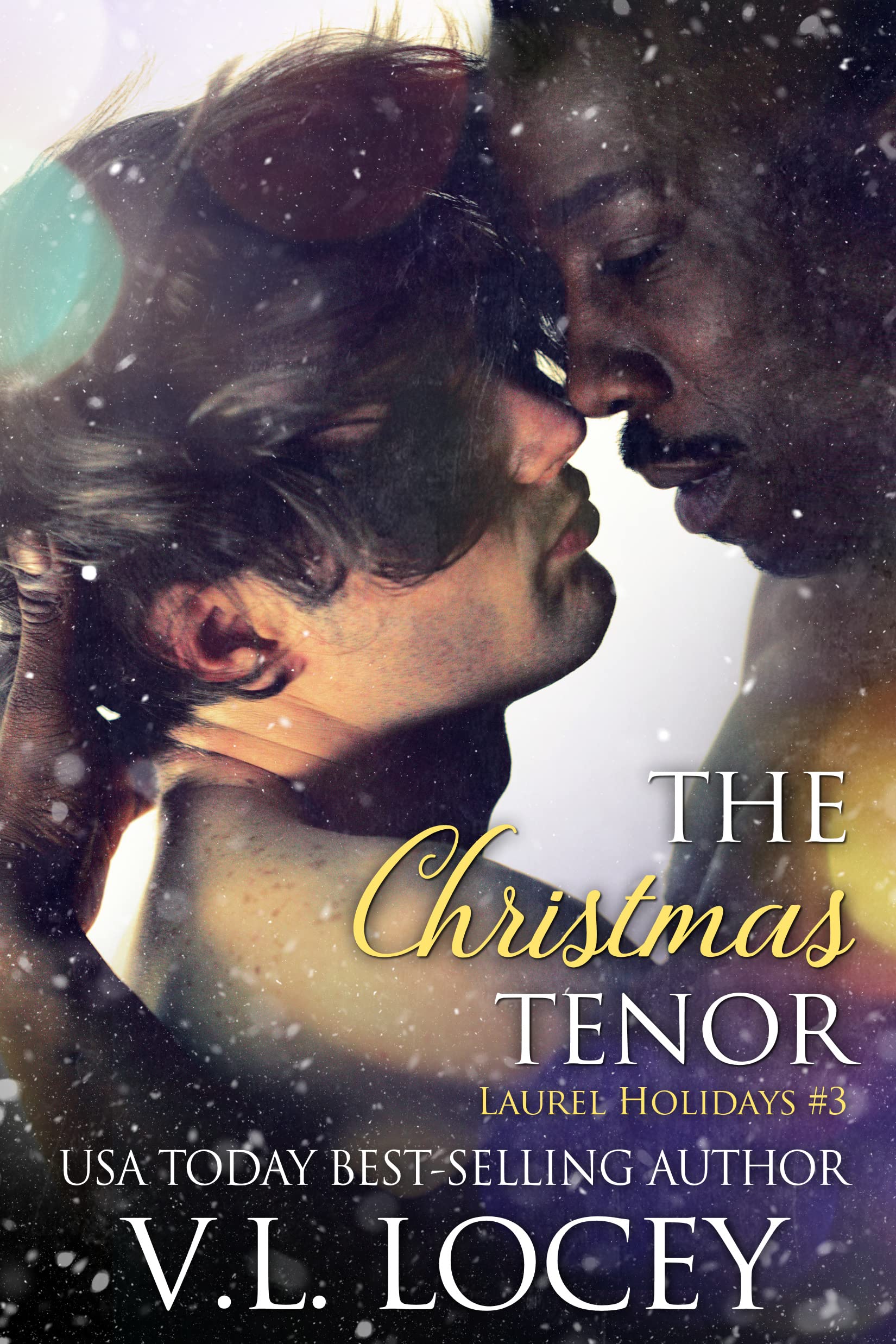 Laurel Holidays book cover 3