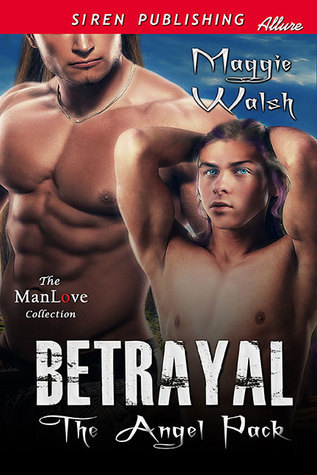 The Angel Pack book cover 1