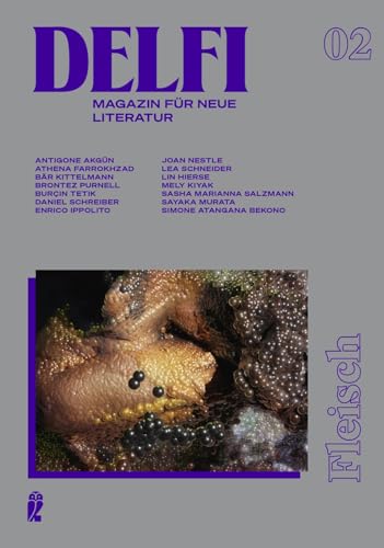 Delfi Fleisch book cover
