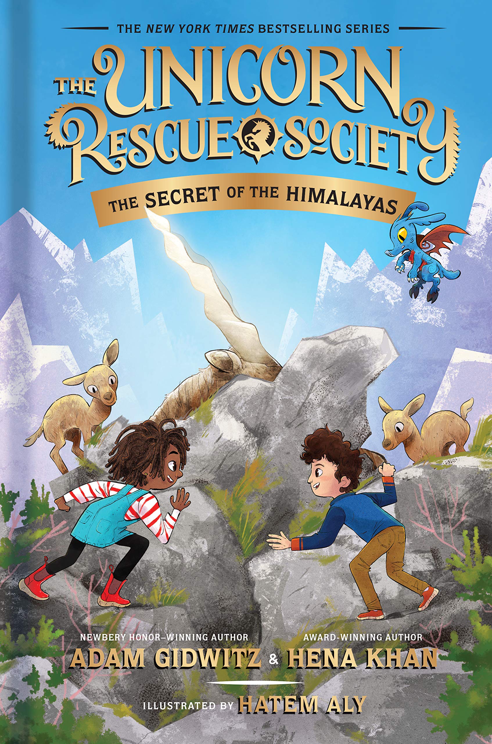 The Secret of the Himalayas book cover