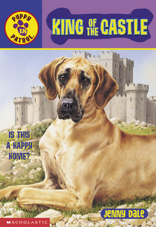 King of the Castle book cover