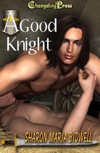 A Good Knight book cover