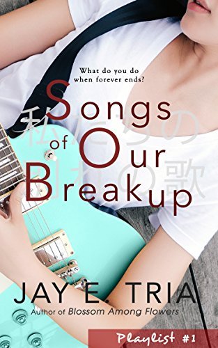Playlist book cover 1