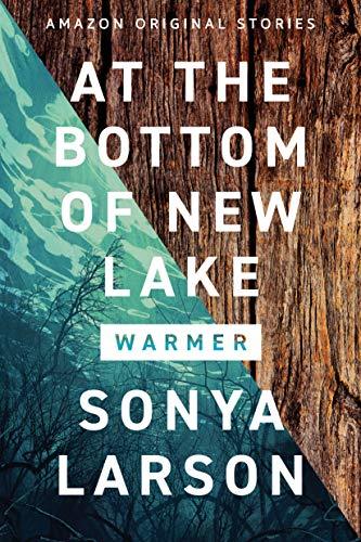At the Bottom of New Lake book cover