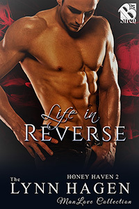 Honey Haven book cover 2