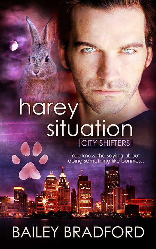 City Shifters book cover 2