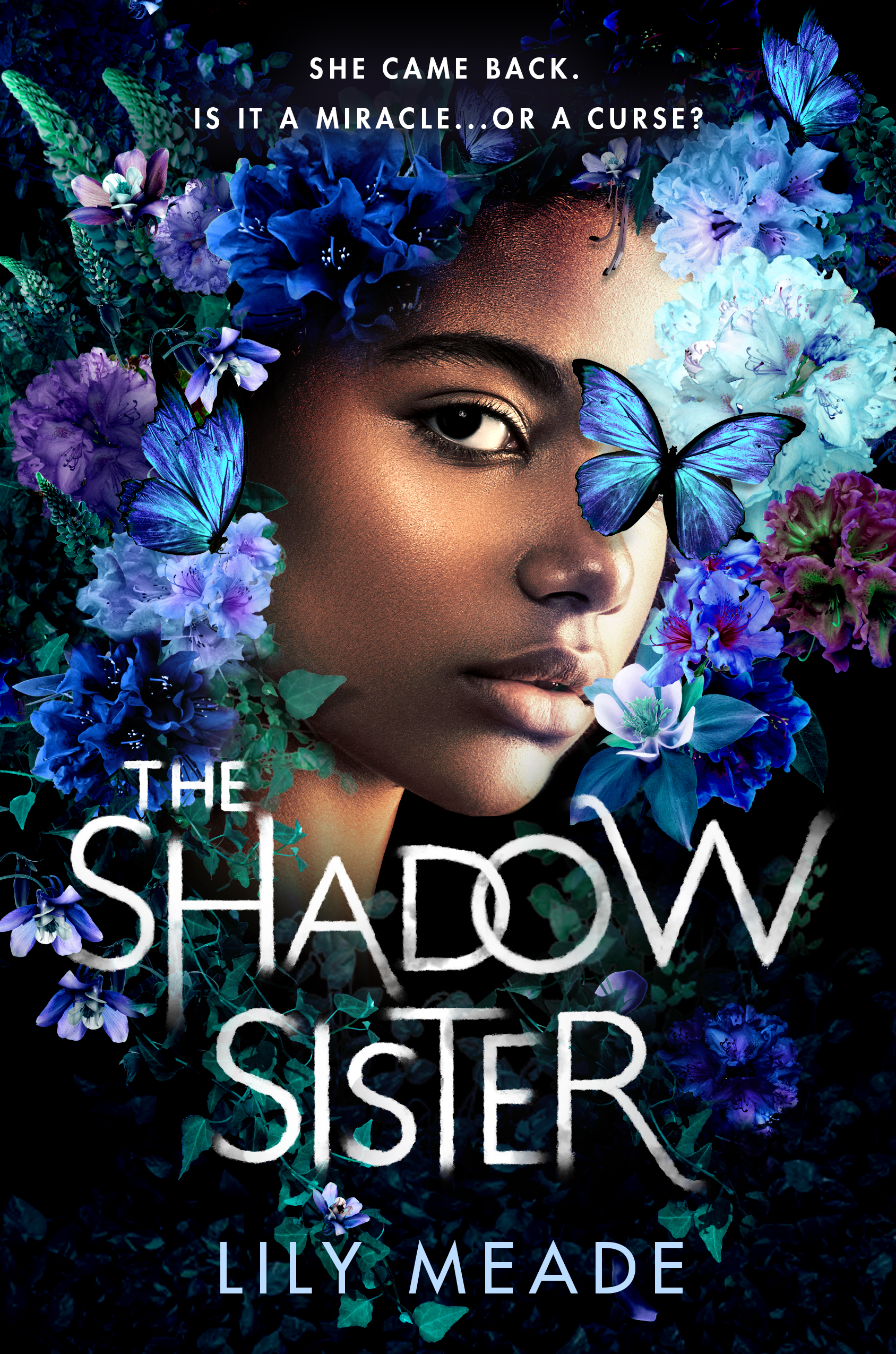 The Shadow Sister book cover
