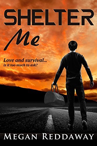 Heven book cover 1