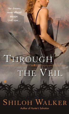Veil book cover 1