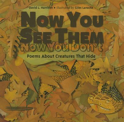 Now You See Them, Now You Don't book cover